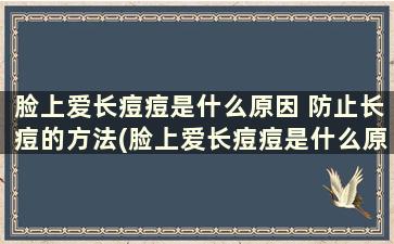 脸上爱长痘痘是什么原因 防止长痘的方法(脸上爱长痘痘是什么原因 防止长痘的方法)